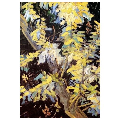       (Blossoming Acacia Branches)    40. x 58.,  1930   