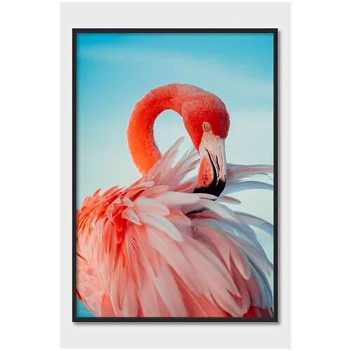 ������ ��� ��������� Postermarkt, 40�50 �� � ������ �����, ����� �� ����� �������� #46 2249�