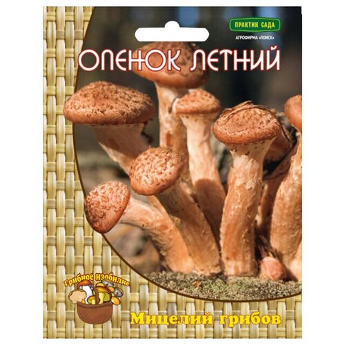 Мицелий грибов Опенок летний 12 др.п. 560р