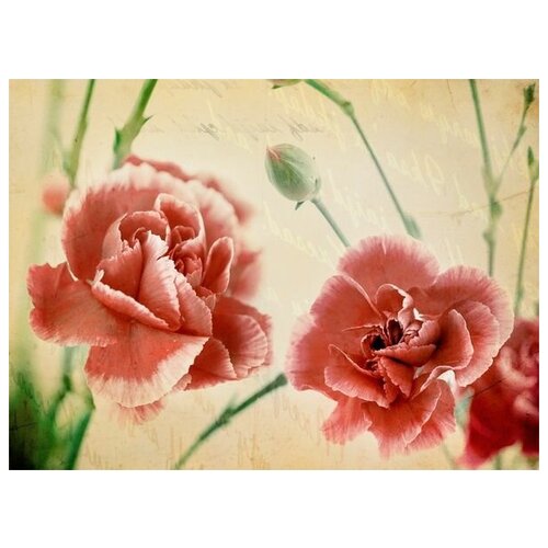 ������ �� ������ ������� ����� (Red flowers) �5 68��. x 50��. 2480�
