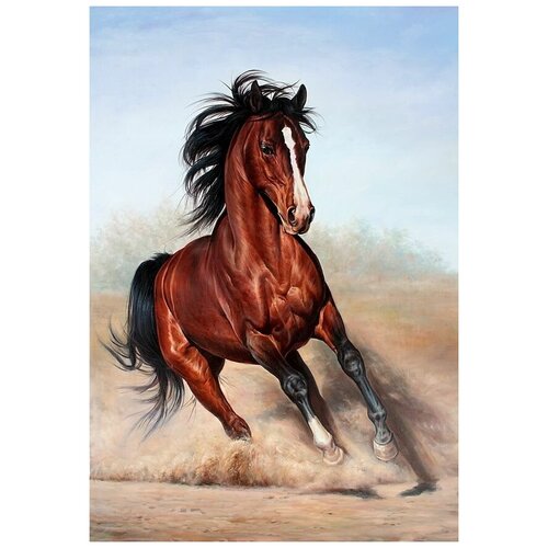 ������ �� ������ ������ (Horse) �10 50��. x 73��. 2640�