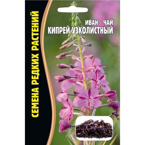 Семена Иван-чая (Кипрей узколистный) (350 семян) 330р