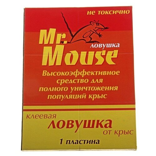   MR. MOUSE      /50 500