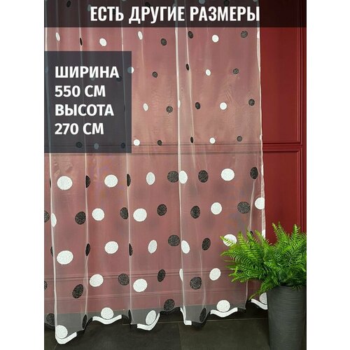 ���� �������, ����������, ������� ������, ������ 550x270 �� 4750�