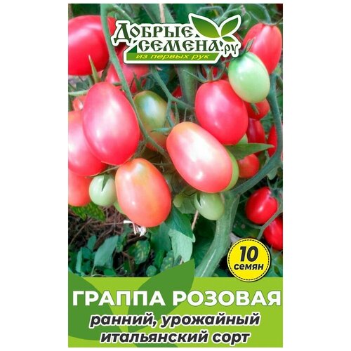 Семена томата Граппа Розовая - 10 шт - Добрые Семена.ру 144р