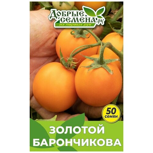 Семена томата Золотой Барончикова - 50 шт - Добрые Семена.ру 378р