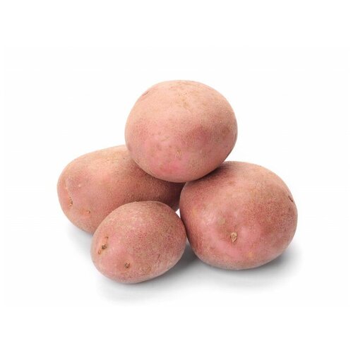 Картофель семенной беллароза клубни 1 кг 259р