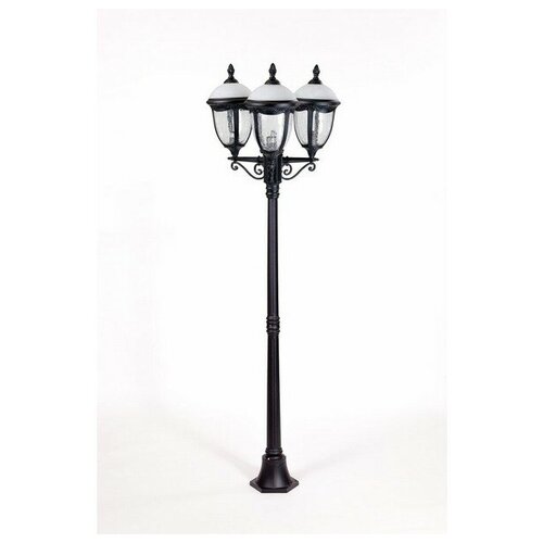  St.LOUIS 89108LB Bl / Oasis Light L 36806