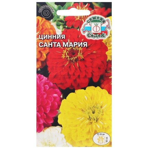 Семена цветов цветок Цинния Санта Мария (изящная, георгиновидная, смесь желтых, красных, роз 193р