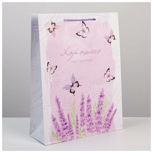 ����� �������������� Special for you, L 31 � 40 � 11,5 �� 240�