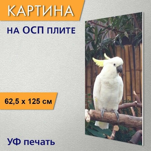 ������������ ������� 