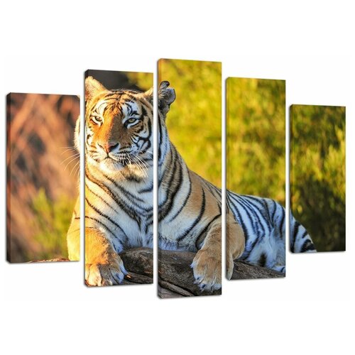 ��������� ������� Decorshop 109 ���� �� ������ 80*125 �� 1790�
