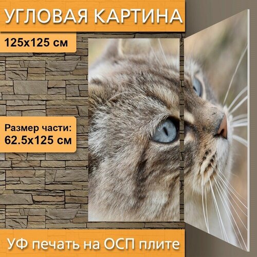 ������� ��������� ������� 