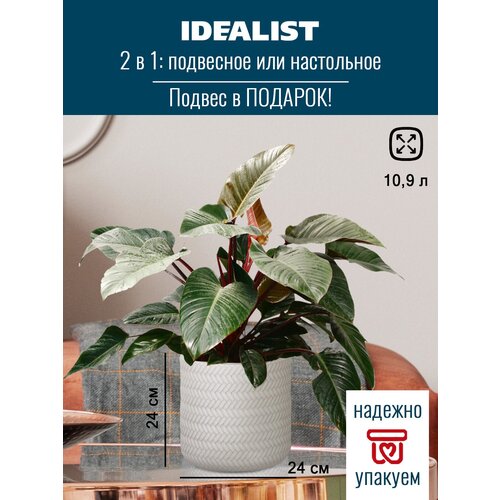 ,   Idealist Lite , , D24 H24 , 10.9 . 2500