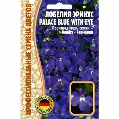    Palace Blue with Eye 5   ,  222   
