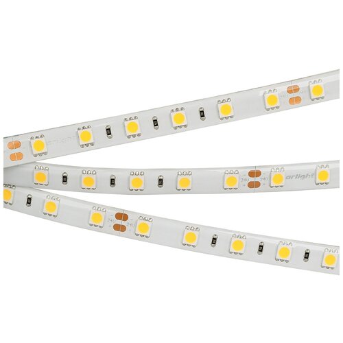   RTW 2-5000SE 24V Cool 2x (5060, 300 LED, LUX) (Arlight, 14.4 /, IP65) 5075