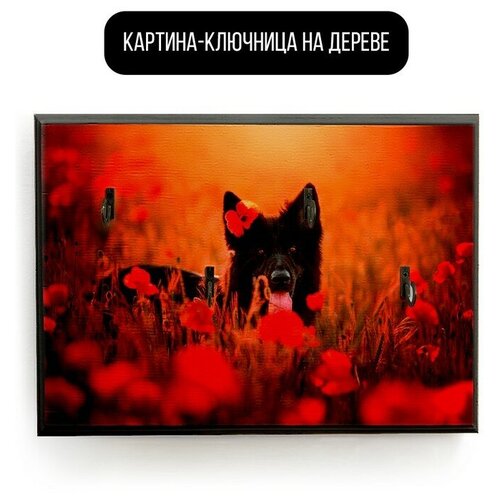 �������� ��������� ���������� 20x30 �� ������� - 176 � 590�