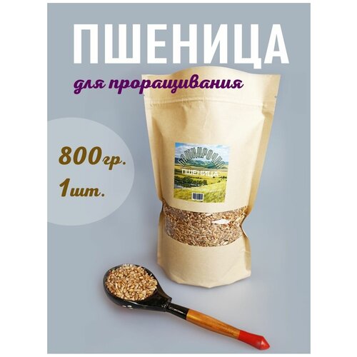 Ростки пшеницы для Башкирочка 234р