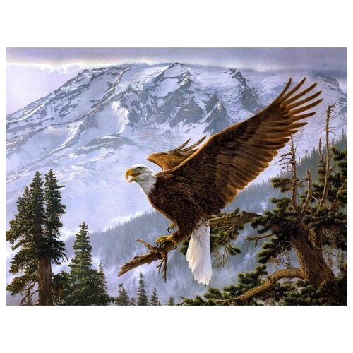 ������ ���� (The Eagl) �1 40��. x 30��. 1220�