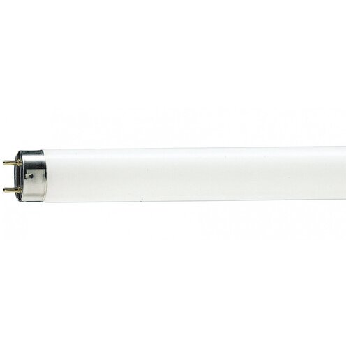 ����� �������������� PHILIPS TL-D 18W/865 312�
