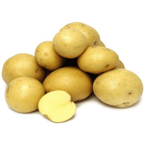 Картофель семенного типа 