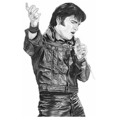      (Elvis Presley) 2 50. x 75. 2690