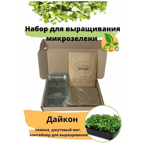 Микрозелень для выращивания Набор Дайкон Fresh Greens (Семена Дайкона, Джутовый мат, Контейнер для выращивания) 288р