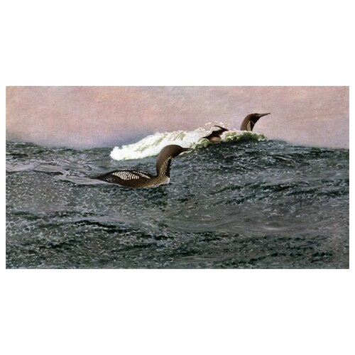      (Swimming birds)   75. x 40. 2320