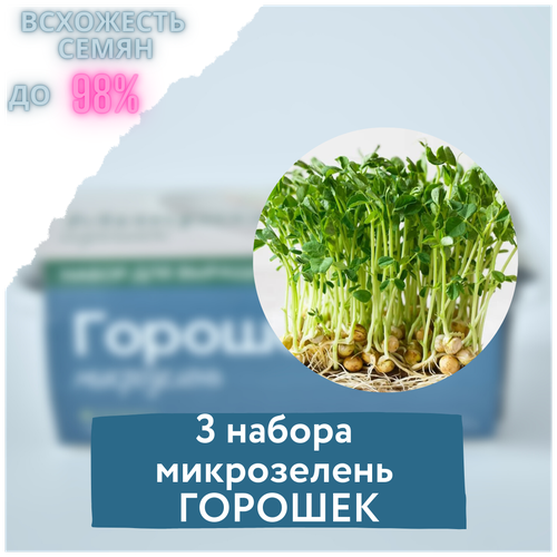Микрозелень 3 Набора для выращивания микрозелени горошек (3 контейнера с семенами микрозелени и минераловатным субстратом для проращивания) 400р