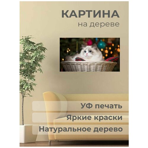 ����������� ������� �� ������ 