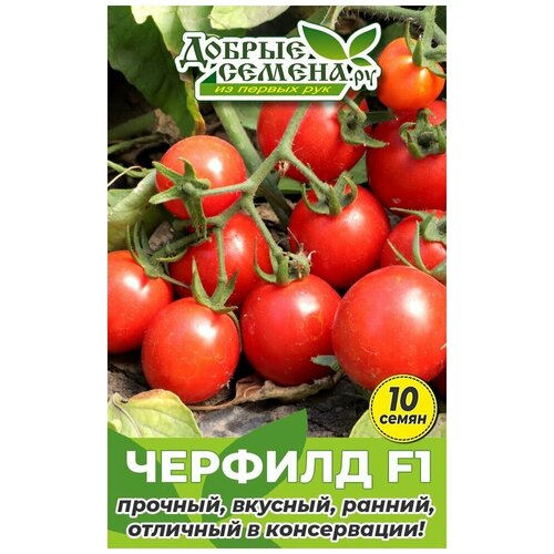 Семена томата Черфилд F1 - 10 шт - Добрые Семена.ру 144р