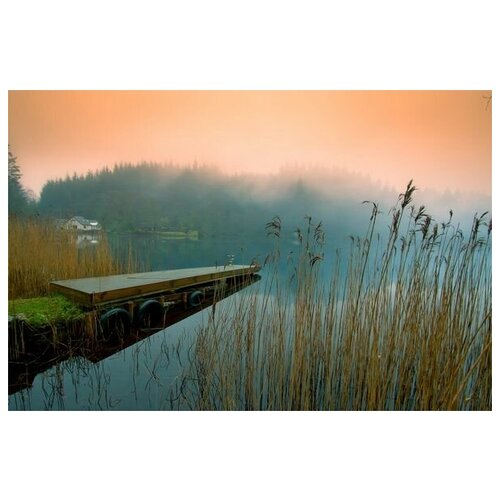 ������ �� ������ ���� (Pond) �29 60��. x 40��. 1950�
