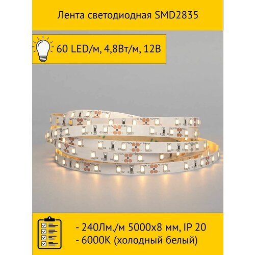   SMD2835, 60 LED/, 4,8/, 12, 240./ 50008 , IP 20, 6000 ( ) 1260