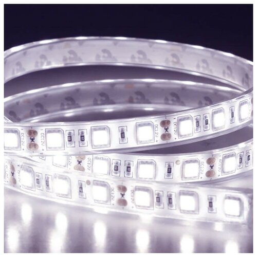   SMD5050-60LED-IP68-12V Double line 5. -  : 5500-6000K 3800