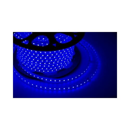Neon-night LED  220, 10*7 , IP67 142-603 14049