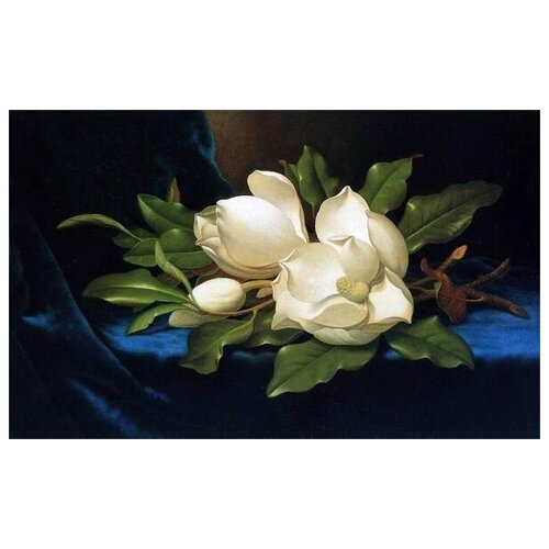         (Giant Magnolias on a Blue Velvet Cloth)    48. x 30.,  1410   