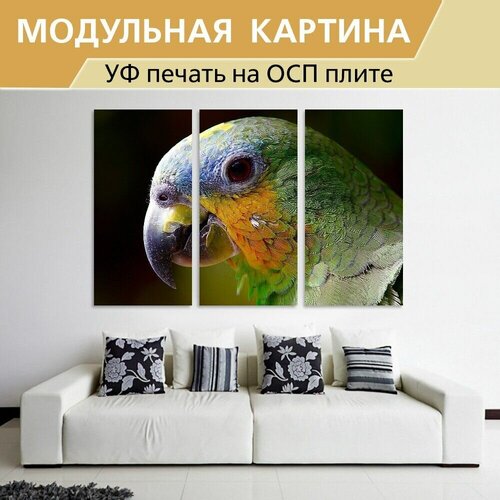 ��������� ������� 