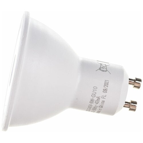    Osram 5  GU10  4000    , 1359244,  338  Osram