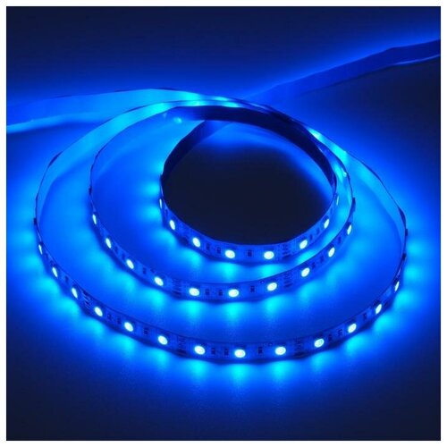   Ecola PRO 5 , IP20, SMD5050, 60 LED/, 14.4 /, 12 , 4200 734