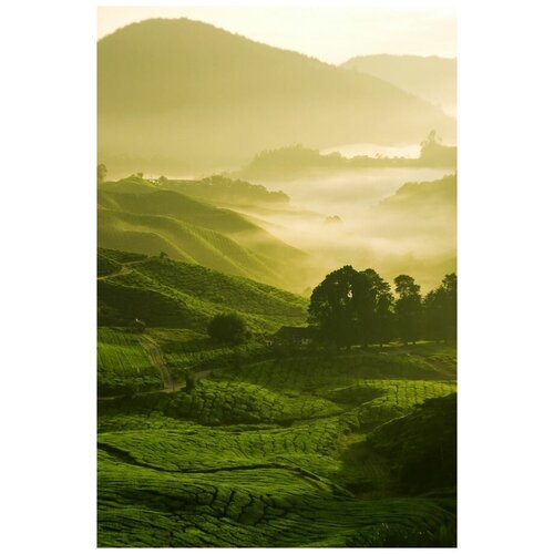 ������ �� ������ ����� ��� ������ (Fog over fields) 50��. x 75��. 2690�