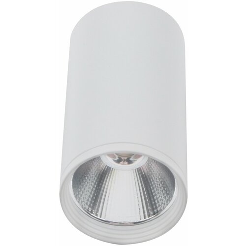    KINK Light  08570-10,01, , LED 7,  790  Kink light