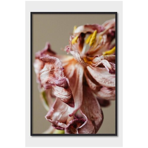 ������ ��� ��������� Postermarkt, 30�40 ��, #109 1619�