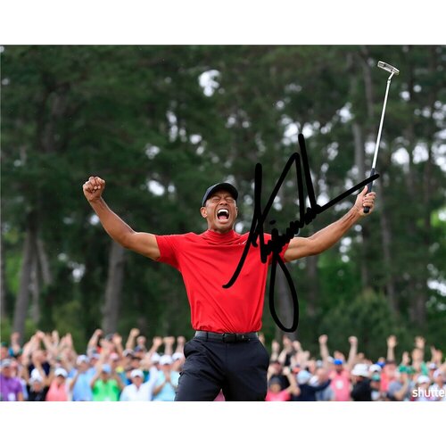    -  Tiger Woods -   ,  ,  , , ,  2025  849