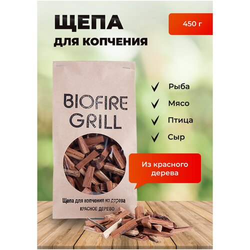    BIOFIRE GRILL 