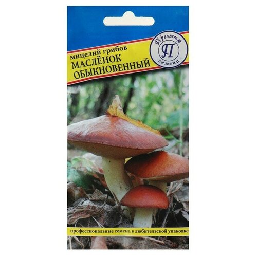 Мицелий грибов Маслёнок обыкновенный, 50 мл 399р