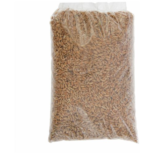 Семена Пшеница, 0,3 кг 80р
