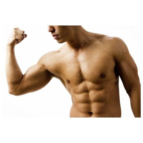 ������ �� ������ ������ (Fitness) �28 45��. x 30��. 1340�