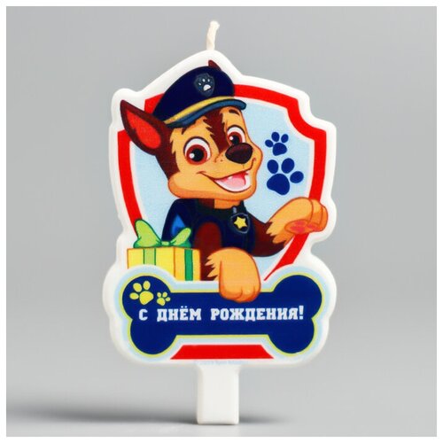  Paw Patrol    