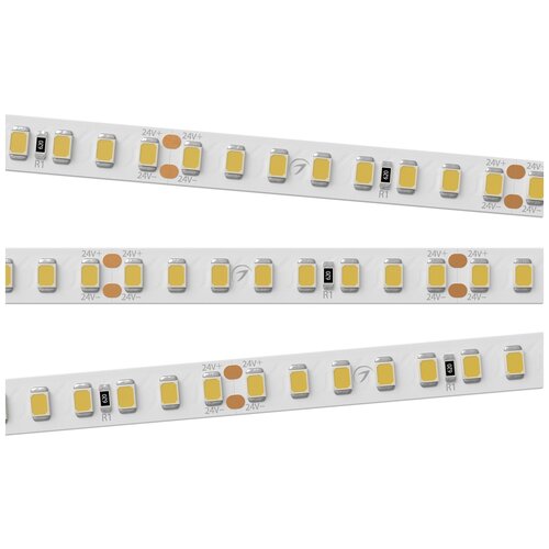  RT 2-5000 24V Warm3000 2x (2835, 160 LED/m, LUX) (arlight, 12 /, IP20) 3845