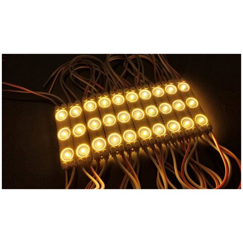    SMD 2835, 3 LED, 12 , 1.5 , 105-110, IP65,   (3000) 590